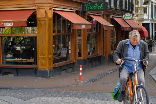 Back_from_shopping_web