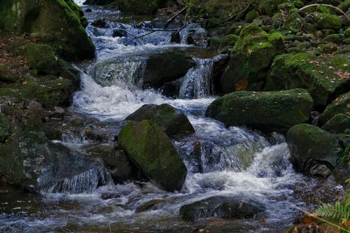 Black_Forest_Stream