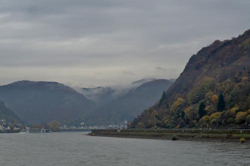 Rhine