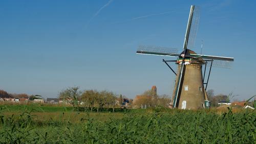 Windmill_Field_web
